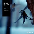 Fractal Architect - Missing