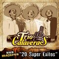 Trío Calaveras - Flor Silvestre