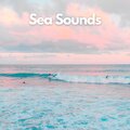 Sea Waves Sounds、Coastal Sounds、Beach Sounds - Oceanic Dreamscape