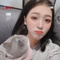 柚柚 - 流浪的猫写情诗