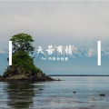 Reol的狂热粉丝 - 天若有情