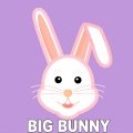 Big Bunny - Strength
