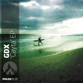 GDX - Cayta