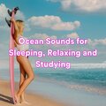Sundays By The Ocean - Ocean Dutiful