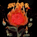 Z.Fjy、Bsad大福 - 550个单位 (《爱的回归线（说唱版）》)