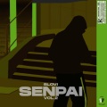 Slovi、Sonar - VAUTOURS (feat. Sonar) (Explicit)