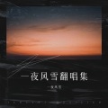一夜风雪 - 临水照花