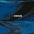 沉野 - 薄荷色夏天