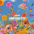 Sane - Infinity (feat. Kelly)