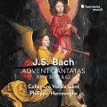 Collegium Vocale Gent、Philippe Herreweghe - Schwingt freudig euch empor, BWV 36: I. Chorus 