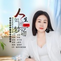 王爱华 - 人生如同梦一场