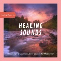 Mind Body Soul Reiki Therapeutic Sounds - Peaceful Sleep