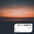 蒸汽小葵 - 认真的老去