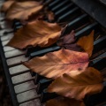 Relaxing Music Oasis、Soft Piano、Study Radiance - Epic Narratives in Night
