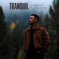 Tranquil - Хайрлахаа битгий боль