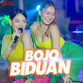 Vita Alvia、Lala Widy - Bojo Biduan