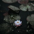 Soothing Breeze - Gentle Om