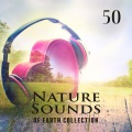 Relaxation Zone - Rain Sounds with Chinese Music