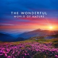 Natureza Musica Bem-Estar Academia - Inner Calm