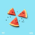 Steve Void、MELON、Dance Fruits Music - Push The Feeling On