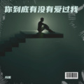冯凯 - 你到底有没有爱过我