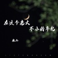 廉山 - 在这个老大不小的年纪