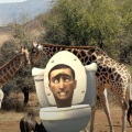 SpeXed - Skibidi Toilet But In South Africa
