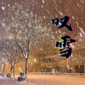 读词 - 叹雪
