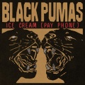 Black Pumas - Angel