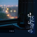 苏星婕 - 你还记得吗