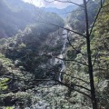 忱百媚 - 天若有情翻唱
