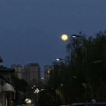 阿巴怪物、今天也没睡醒-s - 海盗船长