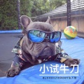 张驰同学 - 小试牛刀（Prod by@张杰峻）