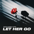 Nicole Cross - Let Her Go (CRTS Remix)