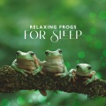 Ambient Nature Sounds - Bullfrog in the Rain