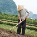Classical New Age Piano Music、Rain Ambience、Work Music Collective - Work's Raindrop Piano Bliss