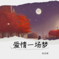 杜永明 - 爱情一场梦