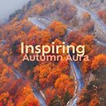 Instrumental Jazz Music Zone - Background Jazz