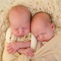 Tech Sleep、Van Hailin'、Ultimate Baby Experience - Sweet Dream Lullaby Dreams