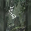 火力少年郎！、听风风风风w - 生死劫