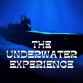 Underwater Sounds Channel - Sleepy Siren