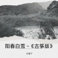 刘雪宁 - 阳春白雪