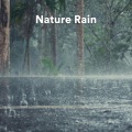 Nature Sounds Nature Music - Raining Fellas