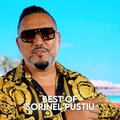 sorinel Pustiu - Haideti toate fetele