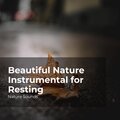 Nature Sounds、Sleep Sounds of Nature、Nature Sounds Nature Music - Journey to the Forest