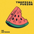 Sr Ortegon - Rumba EDM