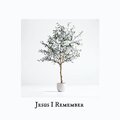 Dan Crook Worship、Gideon - Jesus I Remember (feat. Gideon)(Acoustic)