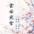 灀月儿 - 棠梨煎雪