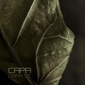 Capa - Belief