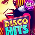 DJ Disco - Funkytown